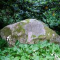 Grabstätte von Anna und August Bier in Sauen - leider waren die Rhododendren im Hintergrund nicht in Blüte