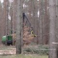 Harvester - Holzvollernter, Waldvollernter oder Kranvollernter, er fällt, entastet und teilt das Holz.