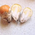 Kaiserling (Amanita caesarea), auch Kaiserpilz oder Orangegelber Wulstling