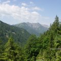 Bayrischer Wald im Naturschutzpark Berchtesgadener Land