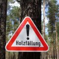 Achtung Holzfällung!